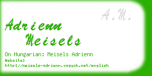 adrienn meisels business card